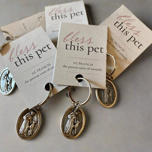 HOST PICK 😻 St. Francis Bless this Pet Medallion Collar Tag - Picture 1 of 3